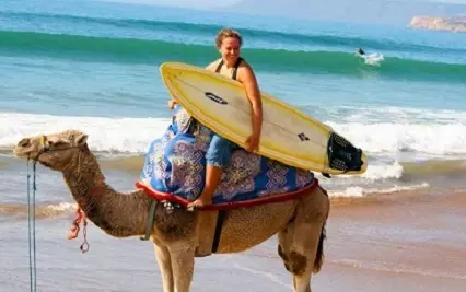 Casablanca to Marrakech Tour